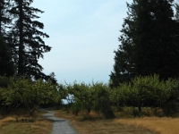 17246RoCrLe - Beach Walk, East Sooke Park   Each New Day A Miracle  [  Understanding the Bible   |   Poetry   |   Story  ]- by Pete Rhebergen